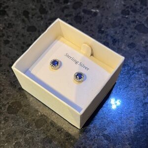 Sterling Silver Blue Stud Earrings